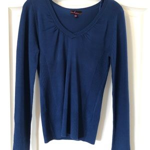 Blue fitted v-neck sweater.